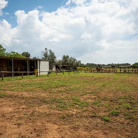 住宿加早餐酒店 Casato Calabrese Nardò