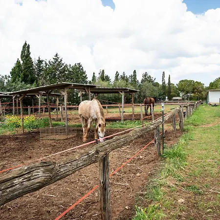 Casato Calabrese Nardò